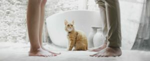 Garde du chat post séparation: 5 tips que ton ex ignore!